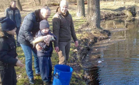 В Кагарлику Саджалку зарибнили білим амуром