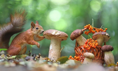 Із заморозками, але без опадів: чи порадує погода жителів Білопільщини на вихідних?