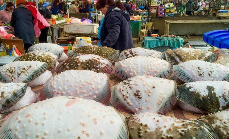 У Чорному морі та лиманах Одещини заборонили вилов камбали: настав період нересту