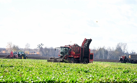 Цукрові буряки — як мала дитина: Олександр Широкоступ, керівник ФГ «Широкоступ»