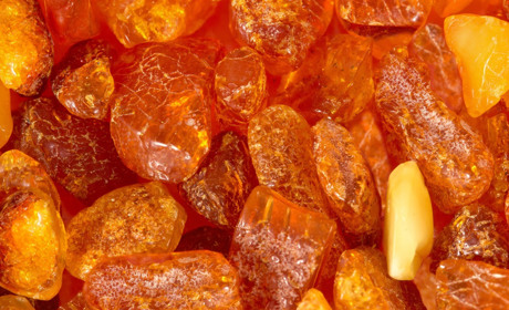 Нелегальний бурштин: у жителя Дубровиці вилучили 15 кілограмів каміння