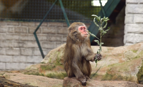 В Одесі проведуть акцію до Всесвітнього дня донора: вони безкоштовно зможуть відвідати зоопарк