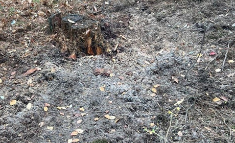 Трагедія у лісі. Двоє підлітків травмовані внаслідок вибуху БПЛа