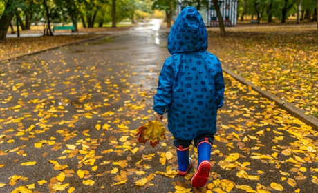 На цьому тижні задощить: прогноз погоди на Сумщині та в Україні