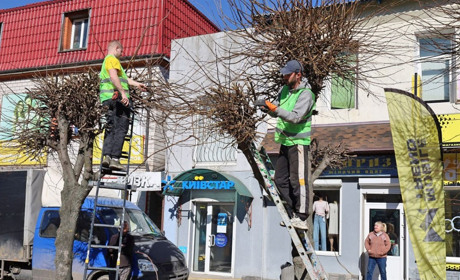 У Жмеринці стартувала формувальна обрізка дерев та очистка від чагарників