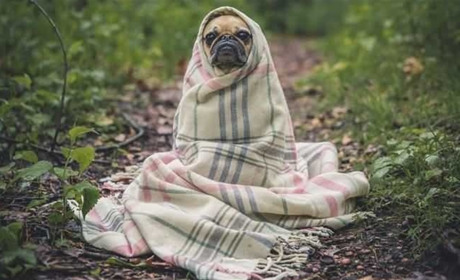 Погода не порадує... Місцями - дощитиме та можливі нічні заморозки