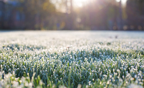 На Луганщині очікуються заморозки: у які дні і що варто знати сватівчанам