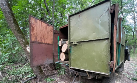 У Череватівці поліцейські затримали "лісоруба"