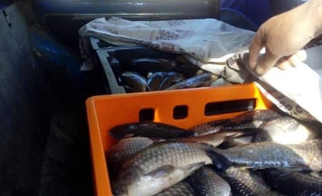 В селі Троїцьке затримали біляївця зі 100 кілограмами свіжої риби: він сказав, що купив її