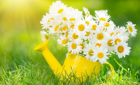 Якою погодою проведемо весну і зустрінемо літо: прогноз від синоптиків Сумщини та України