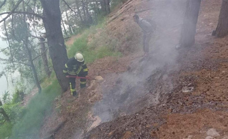 У лісі на Переяславщині сталася пожежа: ФОТО