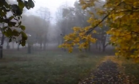 Погода на вихідні: де пройдуть дощі, а де ляжуть тумани - прогноз синоптиків Сумщини та України