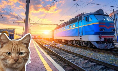 Чому поїзди оминають Звягель: Укрзалізниця пояснила, чому змінилися їх маршрути і коли це виправлять