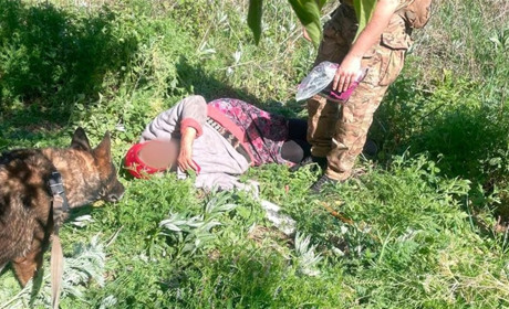 “Знайшли виснаженою у лісосмузі”, - правоохоронці врятували 82-річну мешканку Волноваського району