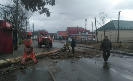 Рафалівські рятувальники 10 березня звільняли проїжджу частину дороги від поваленого вітром дерева