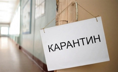 Родители детей из Попасной поделились мнением о карантине в образовательных учреждениях