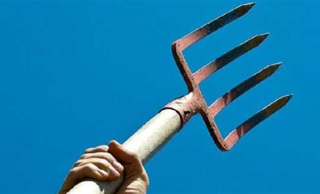Кинувся з вилами: на Фастівщині двоє чоловіків напали на поліцейських