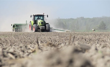 Посівна кампанія і збір урожаю на Рівненщині завершуються успішно