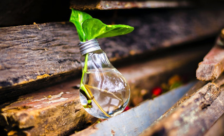 У Сватівському районі через ремонтні роботи без світла залишаться 186 абонентів