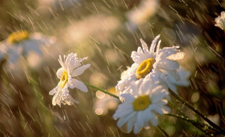 Очікуємо +34... Яку погоду прогнозують синоптики найближчими днями