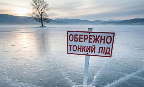 На Одещині жінка провалилася під лід, рятуючи собаку: тварина загинула