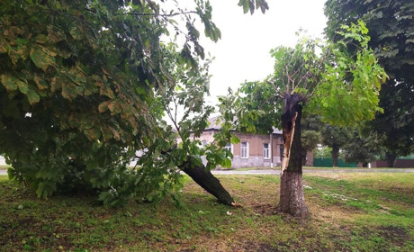 Сватівщиною пронеслася буря: у місті ліквідовують наслідки стихії — фото, відео
