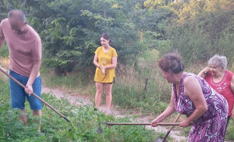 Чим небезпечна амброзія