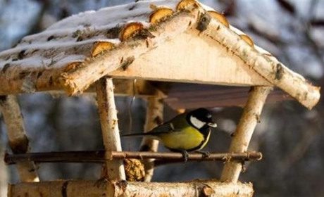 Погода на Білопільщині: наступного тижня буде тепло