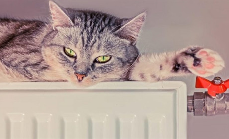 Комунальні тарифи не зростуть до кінця війни - Рада підтримала мораторій