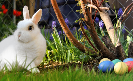 Якою буде погода у Сватовому і районі у тиждень перед Великоднем