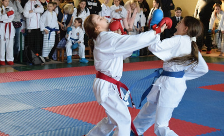 394 учасника із 15 клубів та 120 медалей: міжнародний турнір Zvyagel open 