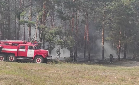 Від ворожого вогню на Куп’янщині горять екосистеми