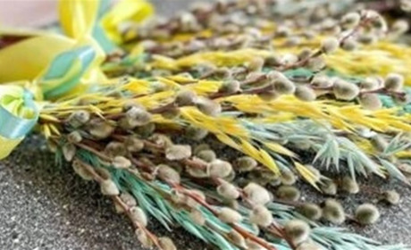Вербна неділя 2022: історія свята, повір’я та традиції