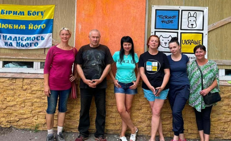 Впродовж двох днів у Нікополі проводилася безкоштовна стерилізації тварин