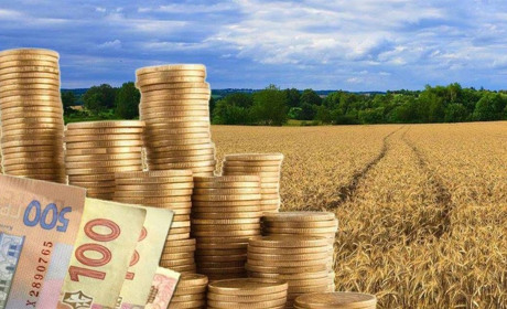 Податок на землю. Хто, скільки й чому має платити