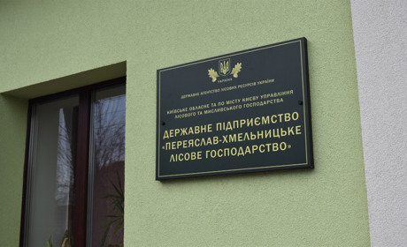 Переяславський лісгосп ліквідували, але весь колектив працює