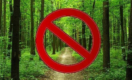 До лісу ходити не можна. Чому і кого обмеження не стосується