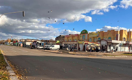 Погода у Старокостянтинові на 4-10 листопада: має трохи потеплішати