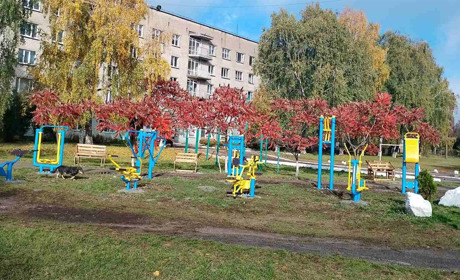 Мама загиблого воїна за власний кошт встановила спортивний майданчик