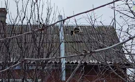 На Херсонщині через ворожі обстріли пошкоджені житлові будинки та критична інфраструктура