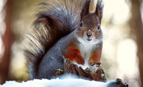 Днями погода значно погіршиться: що прогнозують синоптики