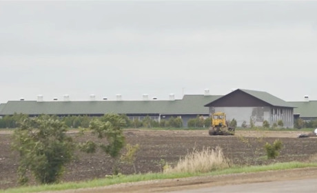 Зрадники Репілевські годують крафтовим козиним сиром Росію