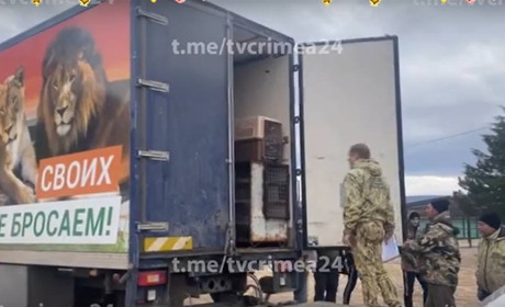 Вивезли 120 тварин: росіяни пограбували сафарі-парк на Херсонщині