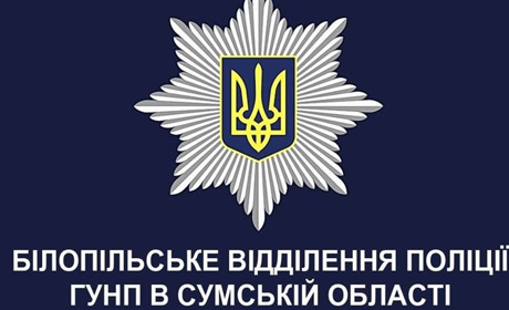 Що сталося у районі за рік та як спрацювала поліція?