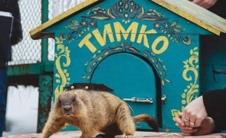 Бабак Тимко "розповів", коли в Україну прийде весна
