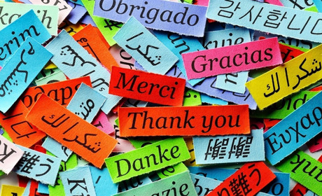 «Спасибо» в карман не положишь? Кого мелитопольцы хотят поблагодарить в необычный день