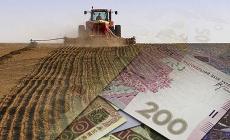 Фермерські господарства можуть отримати кошти від держави для власного розвитку