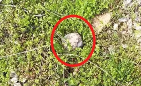 Окупанти мінують Херсон дронами: як виглядає нова міна "Пряник"