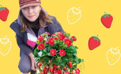 Як на землі заробляти більше та розрахуватися з боргами: досвід фермерки з Біляївки