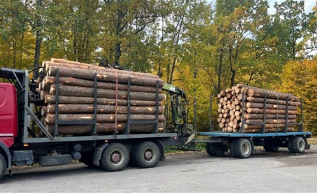 У Сарненському районі з незаконною деревиною зупинили перевізника з Прикарпаття